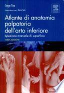 Atlante di anatomia palpatoria dell'arto inferiore. Ispezione manuale di superficie