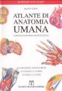 Atlante di anatomia umana. Corsi di anatomia macroscopica