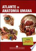 Atlante di anatomia umana