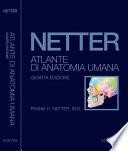 Atlante di anatomia umana
