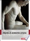 Atlante di anatomia umana