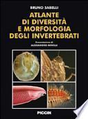 Atlante di diversità e morfologia degli invertebrati