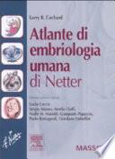Atlante di embriologia umana di Netter