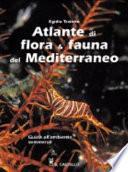 Atlante di flora & fauna del Mediterraneo