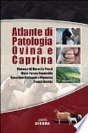 Atlante di patologia ovina e caprina