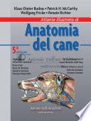 Atlante Illustrato Di Anatomia Del Cane 5a edizione