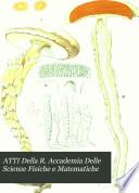 Atti dell'Accademia delle scienze fisiche e matematiche