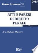 Atti e pareri di diritto penale ADDENDA GRATUITA