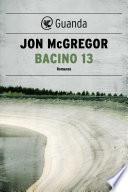 Bacino 13