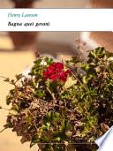 Bagna quei gerani