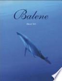 Balene