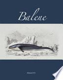 Balene