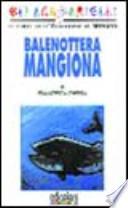 Balenottera mangiona