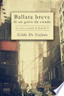Ballata breve di un gatto da strada