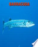 Barracuda