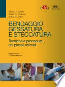 Bendaggio, gessatura e steccatura