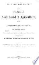 Biennial Report to the Governor