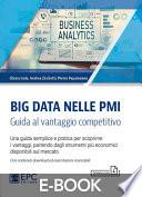 Big Data nelle PMI