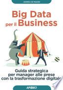 Big Data per il Business