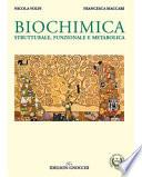 Biochimica. Strutturale, funzionale e metabolica