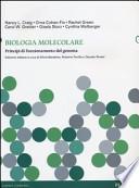 Biologia molecolare. Principi di funzionamento del genoma