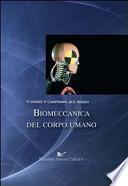 Biomeccanica del corpo umano