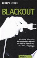 Blackout. Il sistema di distribuzione dell'elettricità è la macchina più complessa mai realizzata: ma è anche estremamente vulnerabile