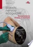 Blocchi nervosi ecoguidati