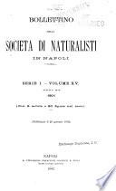 Bollettino