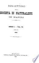 Bollettino