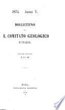 Bollettino