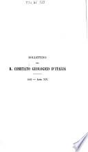 Bollettino