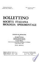 Bollettino