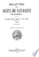 Bollettino