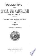 Bollettino