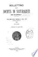 Bollettino