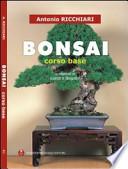Bonsai. Corso base
