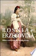Bosnia e Erzegovina. Alba e tramonto del secolo breve