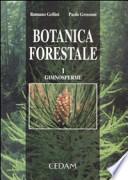 Botanica forestale. 1. Gimnosperme