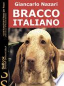 BRACCO ITALIANO