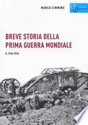 Breve storia della prima guerra mondiale
