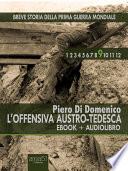 Breve storia della Prima Guerra Mondiale vol. 9 (ebook+audiolibro)