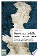Breve storia delle macchie sui muri