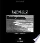Bufalino, Camarina e dintorni. Ediz. illustrata