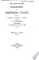 Bullettino di paletnologia italiana