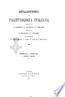 Bullettino di paletnologia italiana