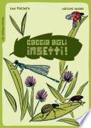 Caccia agli insetti!