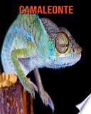 Camaleonte