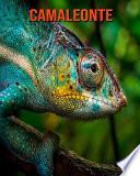 Camaleonte