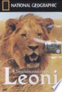 Camminando con i leoni. DVD
